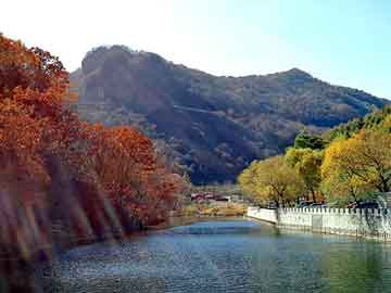 澳门二四六天天彩图库，浪迪论坛